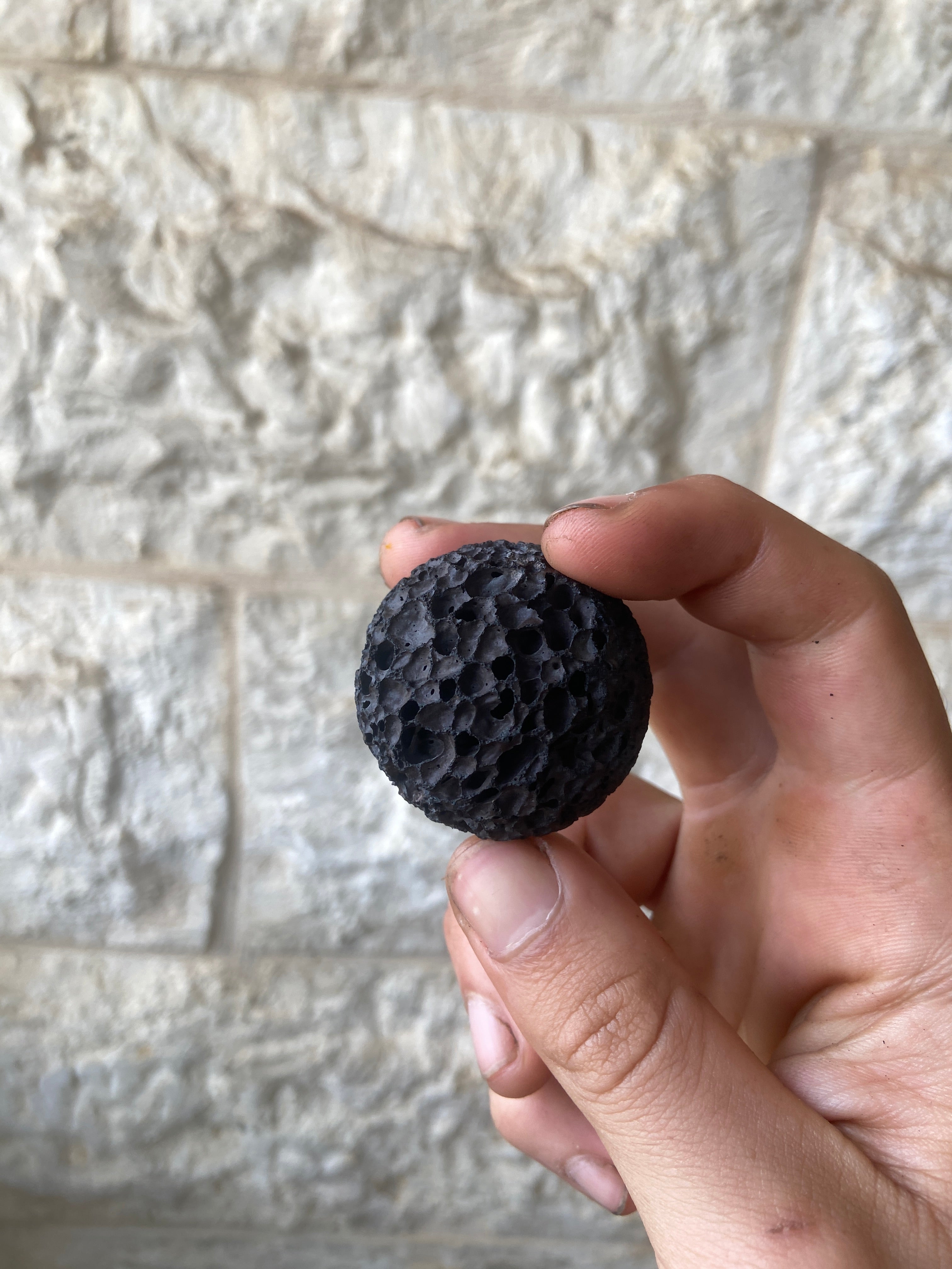 כדור פריימל